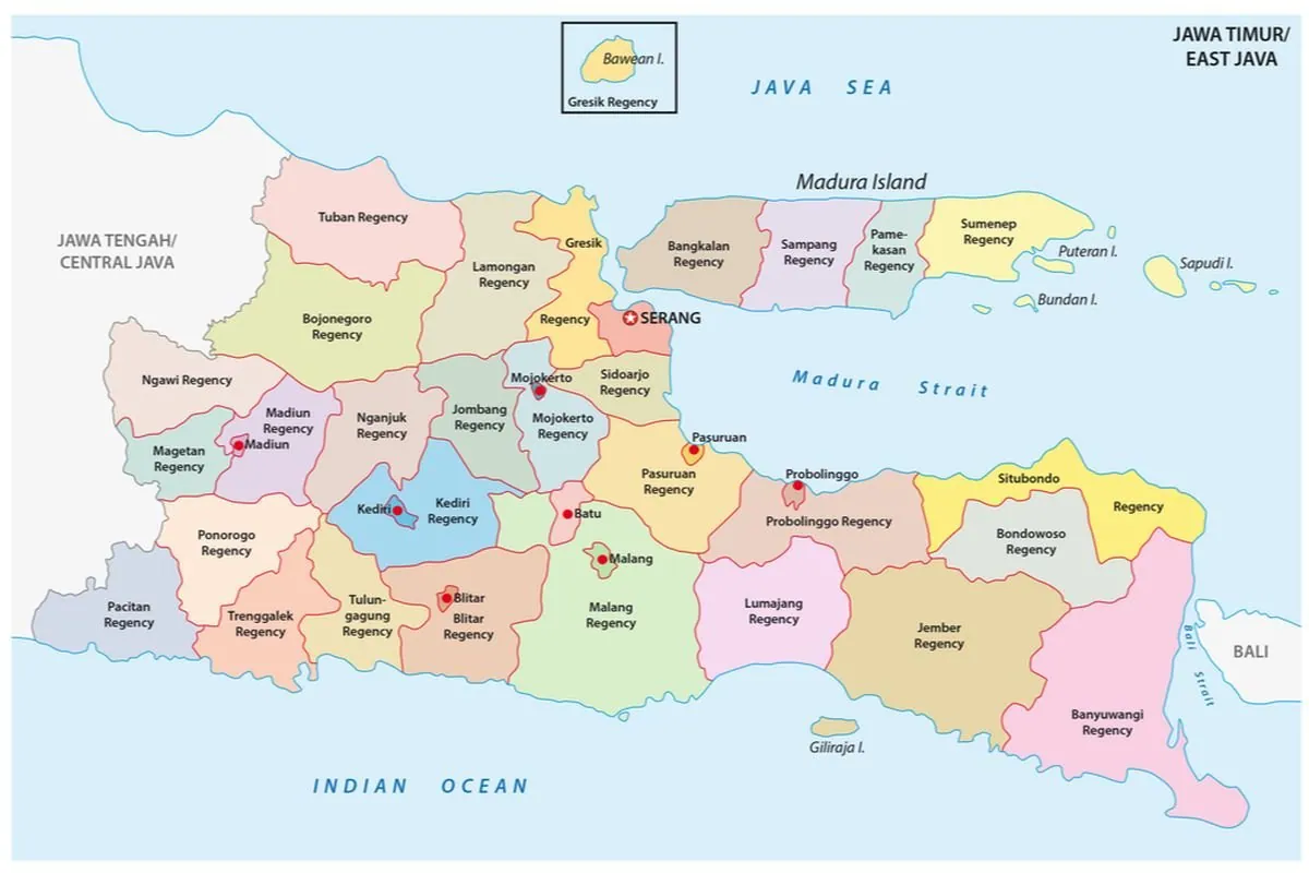 Pembuatan Website dan Aplikasi di Jawa Timur Nomor Satu