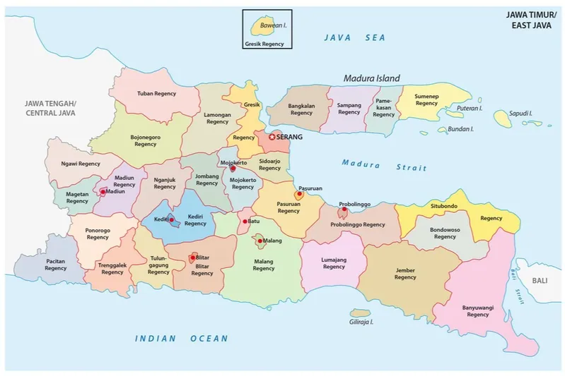 Pembuatan Website dan Aplikasi di Jawa Timur Nomor Satu