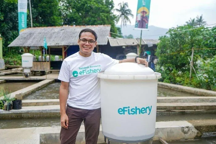 Skandal Manipulasi Laporan Keuangan eFishery: Dampak dan Fakta Terbaru
