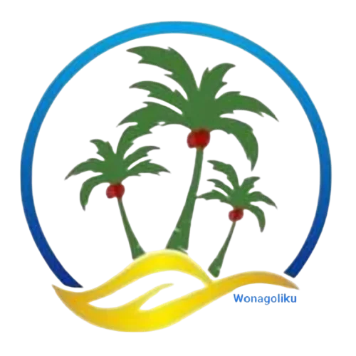 CV. Wonagoliku